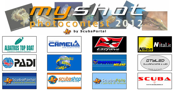 myshot2012